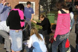 Fordított és sportnap